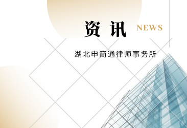 湖北申简通律师事务所案例研讨会(第31期)